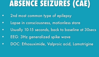 Image result for Absence Seizure Symptoms